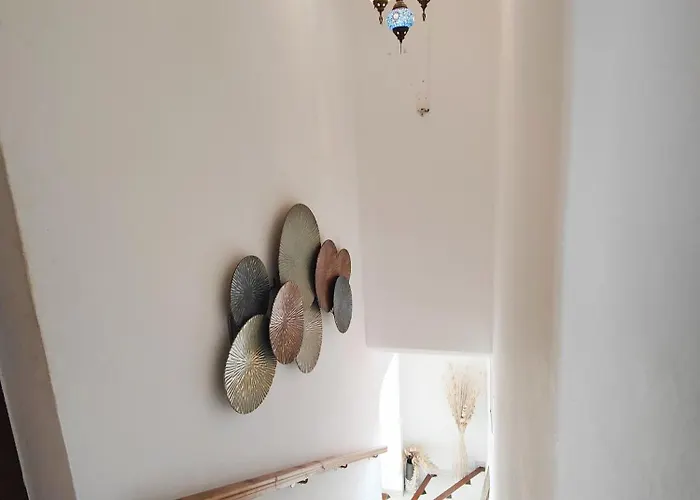 Ap419 - Chumbera Нерха