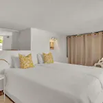 Ap419 - Chumbera Nerja