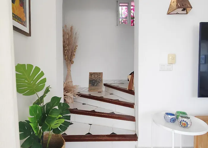 Ap419 - Chumbera Vila Nerja