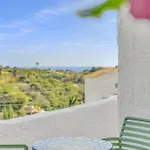 Ap419 - Chumbera Nerja