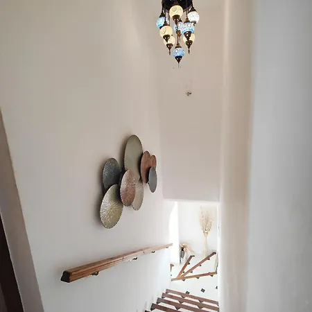 Ap419 - Chumbera Nerja