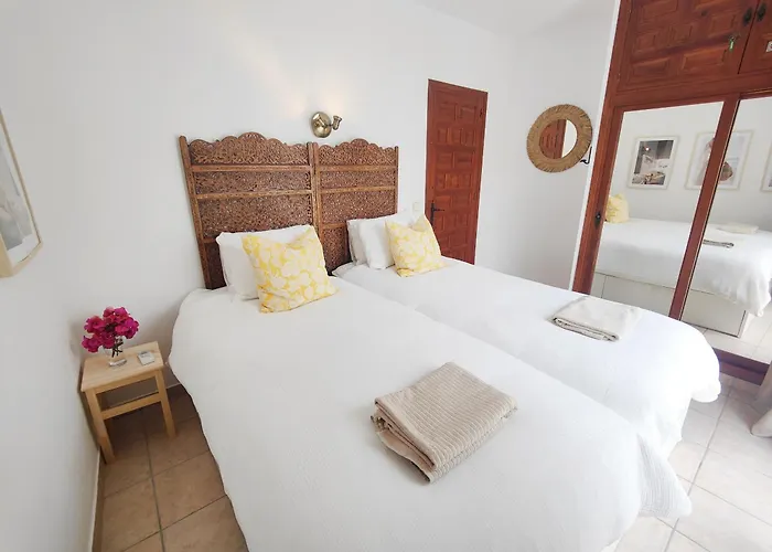 Ap419 - Chumbera Nerja