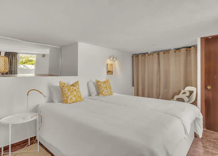 Ap419 - Chumbera Nerja