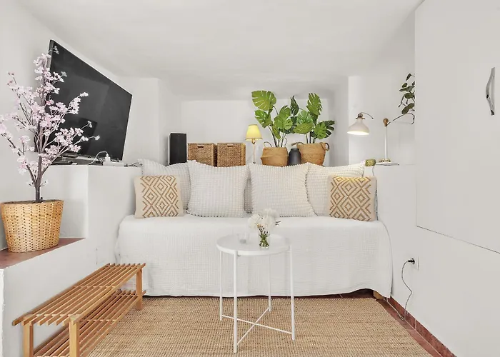 Ap419 - Chumbera Villa Nerja